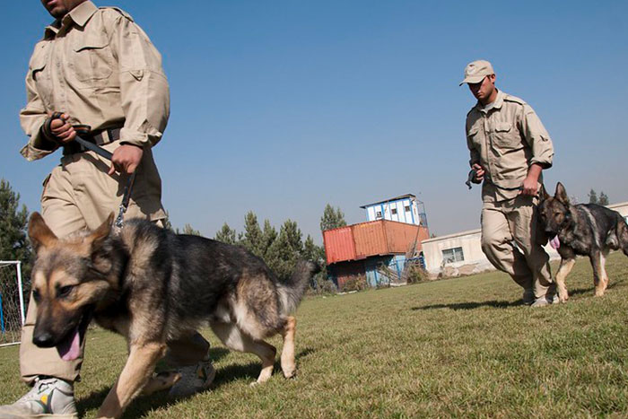 20 Terribles errores cometidos en el trabajo que los compañeros nunca olvidarán