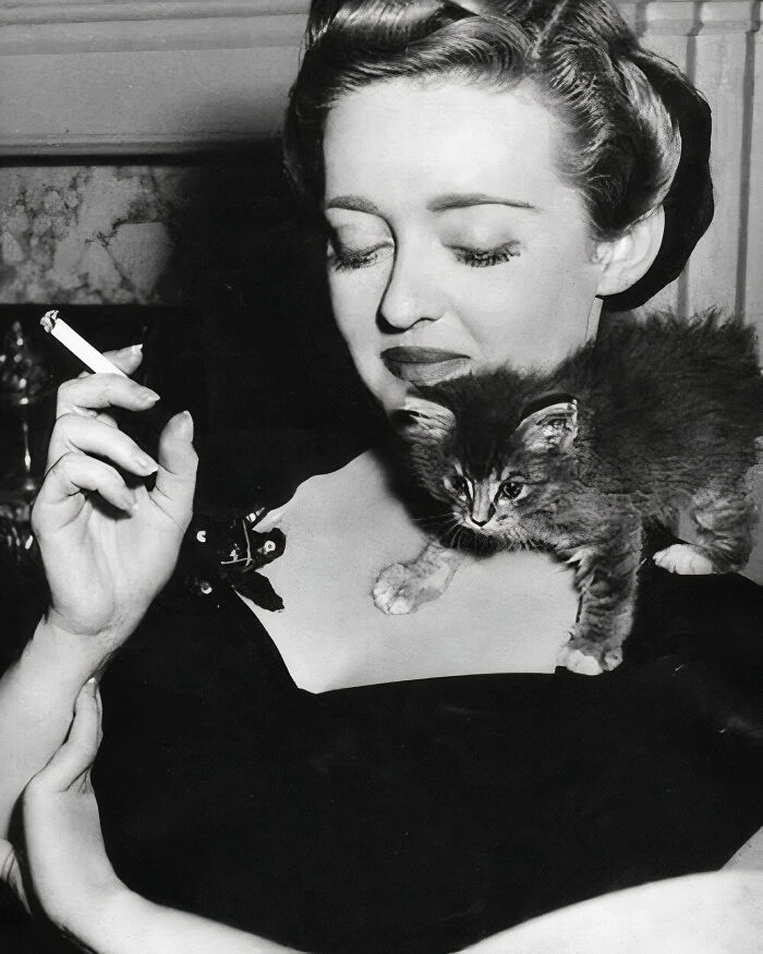 The American Actress Bette Davis Was Another Hollywood Star Who Couldn't Resist The Charms Of A Kitten, Photograph From 1943