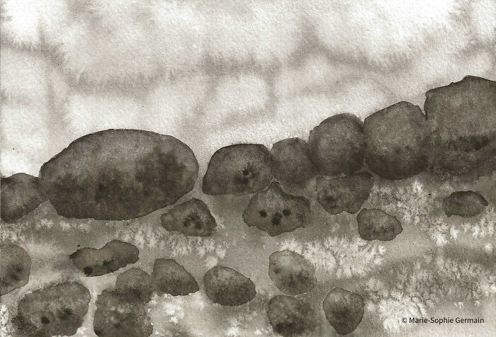 I Create Paintings With Charcoal And Salt And The Result Is Whimsical (18 Pics)