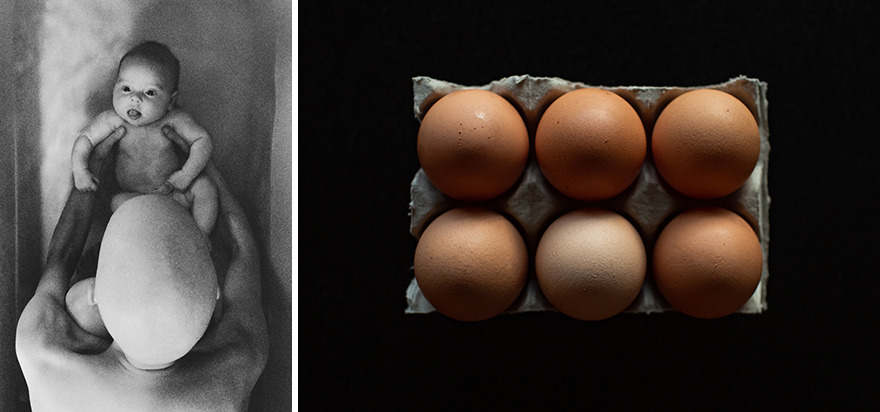 Egg Heads From The Series "Through My Child’s Eyes" By Lisa Murray