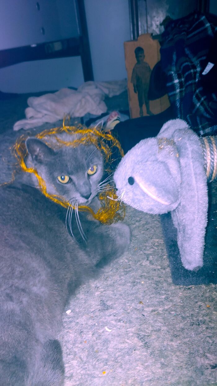 My Plushy Girl Baba Yaga Think She's A Lion