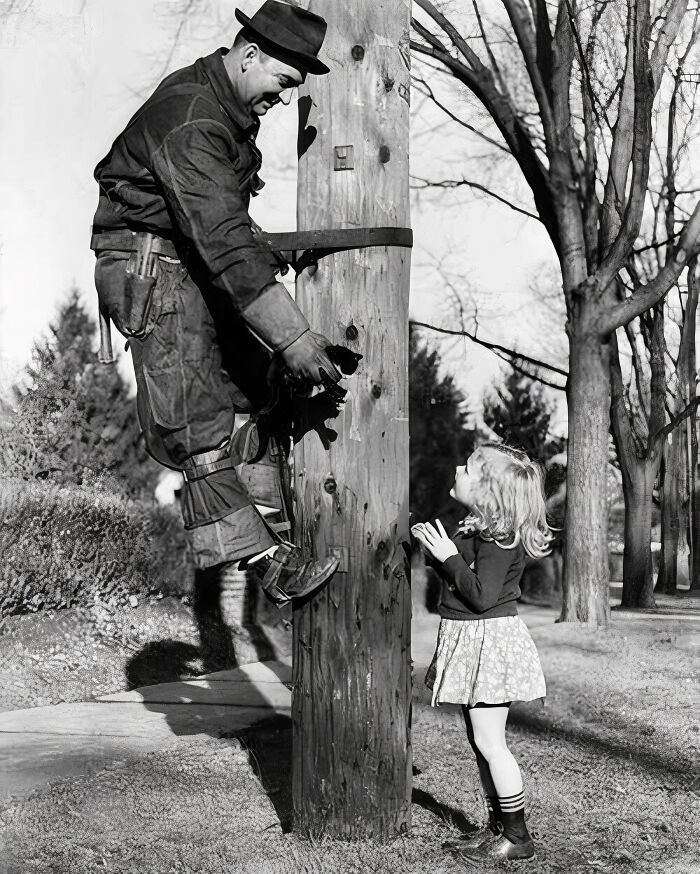 Back In The 1930s, Kittens Were Already Risking Themselves At High Altitudes And Causing Trouble For Electric Company Employees