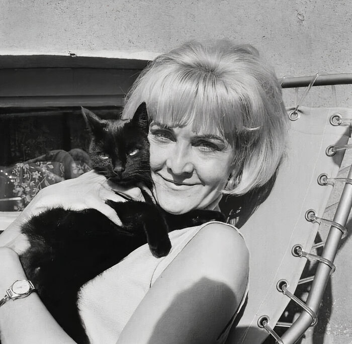 The British Actress, Singer, And Author Sheila Hancock Was Photographed With This Feline In The United Kingdom In 1963