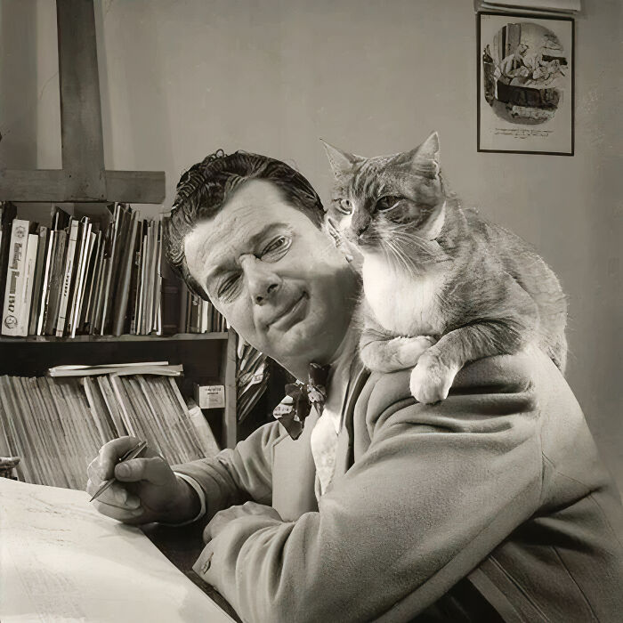 It Seems That British Cartoonist Jack Monk Had The Company Of A Beautiful Cat During The Creative Process Of His Work, 1949