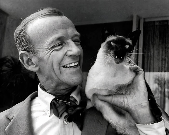 What Was The Little Kitty Carlyle "Saying" To His Human, American Dancer Fred Astaire? Portrait From 1962