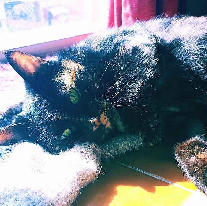 Cinder Looking More Gorgeous Than Usual