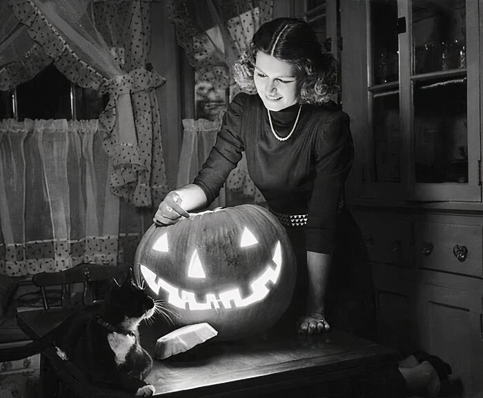 While His Human Was Carving A Jack-O'-Lantern, A Pumpkin Lantern Decoration For Halloween, The Tabby Cat Watched Everything Attentively, 1955