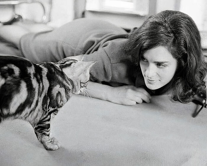 Who Has Never Been "Hypnotized" By A Cat's Gaze? This Certainly Happened To British Actress And Writer Eleanor Bron While Being Photographed In 1965