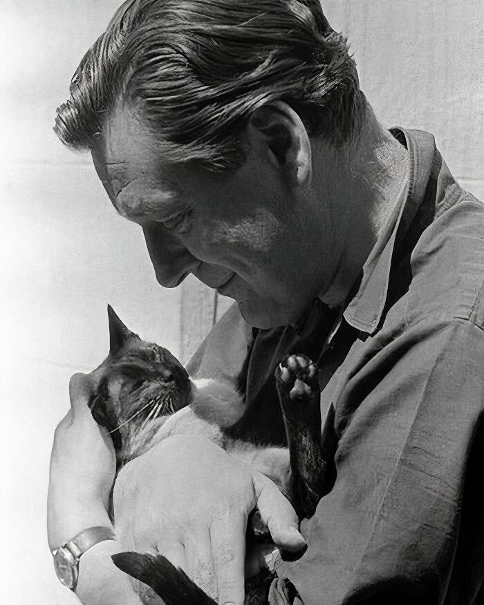 Former Secretary Of State Of The United Kingdom, Anthony Crossland, Is Pictured In This Portrait Doing What's Best For A Holiday: Cuddling With His Cat. London, United Kingdom, 1965