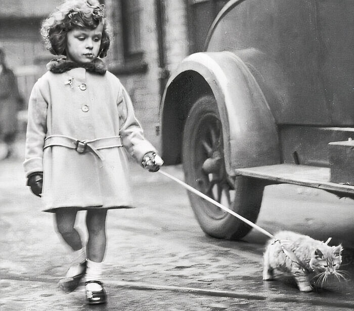 Kitten Walking On A Leash? It Seems Like A Scene From Nowadays, But This Photo Was Taken In 1931, In London, United Kingdom
