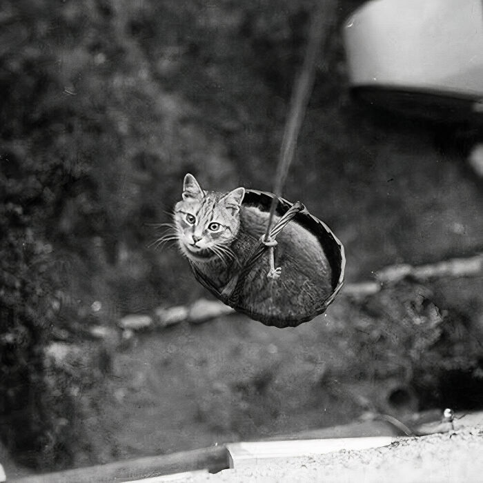 Photograph Taken In England In 1933