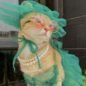 susannahkirstine avatar