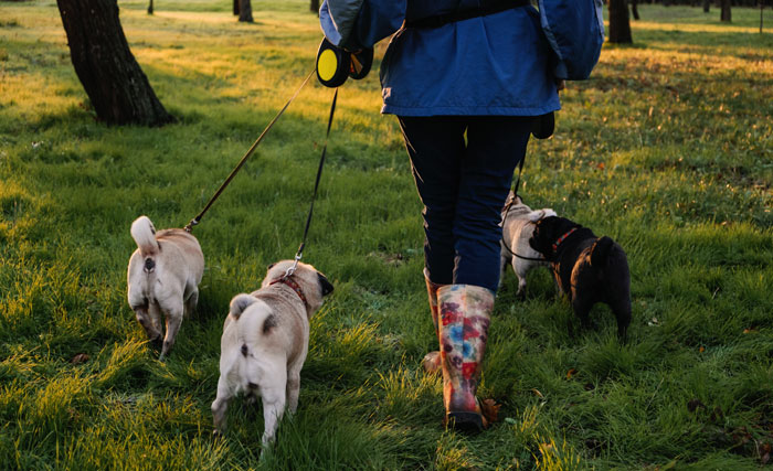 The Internet Praises This Genius Mom For Testing Her Husband And Kids To See If They Can Handle A Dog