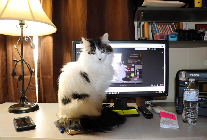 &ldquo;Call The Cops? If You Insist&rdquo;: Guy Doesn&rsquo;t Want To Show ID, Requires The Cops To Be Called And Gets Arrested Himself