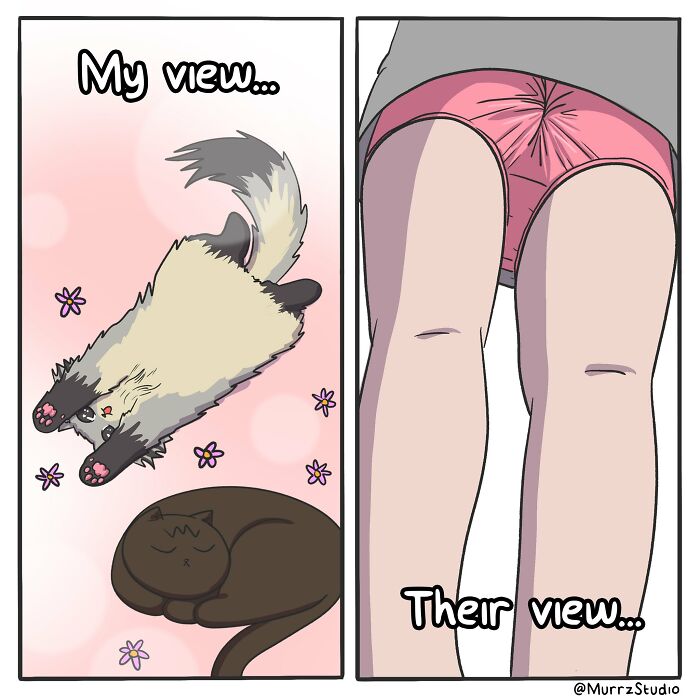 31 Funny New Comics That Show What Happens When You Get Too Comfortable In Your Relationship