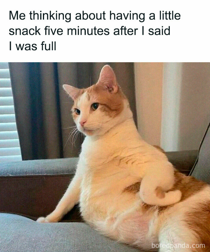 Funny-Sarcasm-Only-Memes