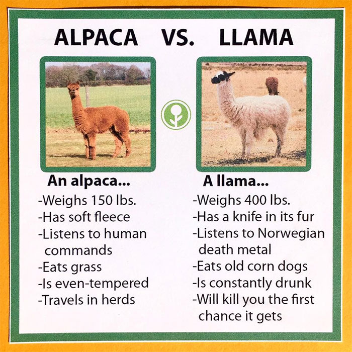 Alpaca vs. Llama