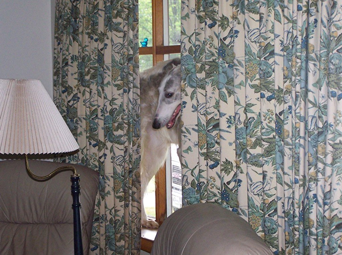 Woman Is Annoyed Her Neighbor Comes To Her Landing And Lurks, So She Swings Open The Door, Frightening Her And Causing Her To Fall