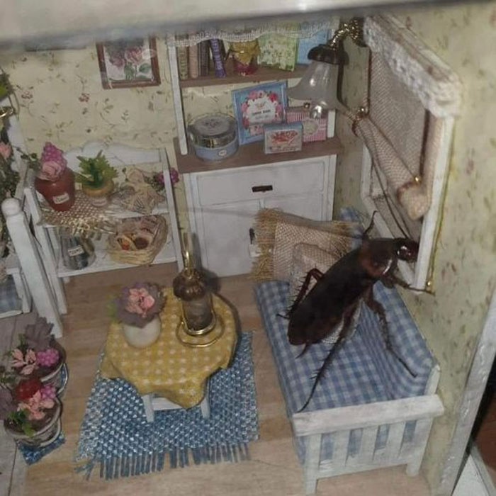 This Facebook Page Shares Images And Memes That Are Full Of Hilarious And Bizarre Things, Here Are 50 Of The Best Ones