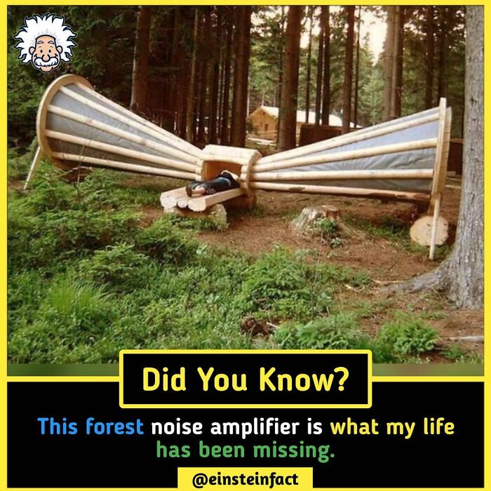 Interesting-Facts-Einsteinfact