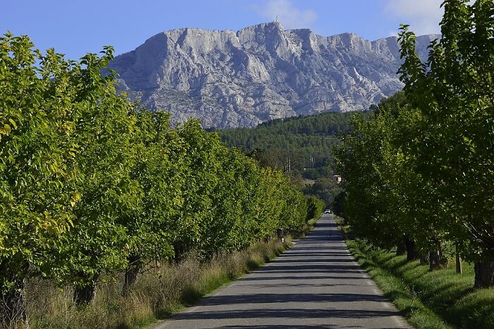 Picture of Provence road with trees and mountains
