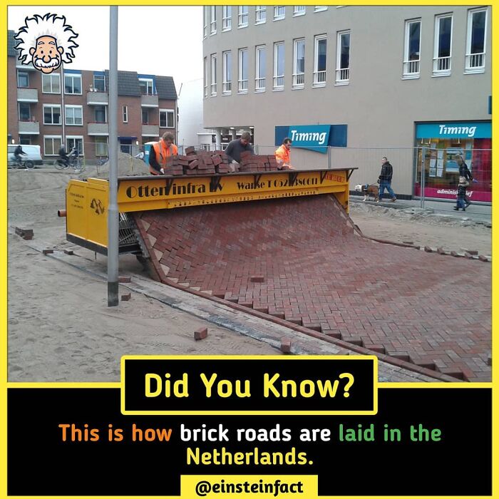 Interesting-Facts-Einsteinfact