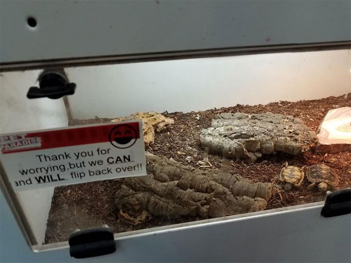 Memes-With-No-Context