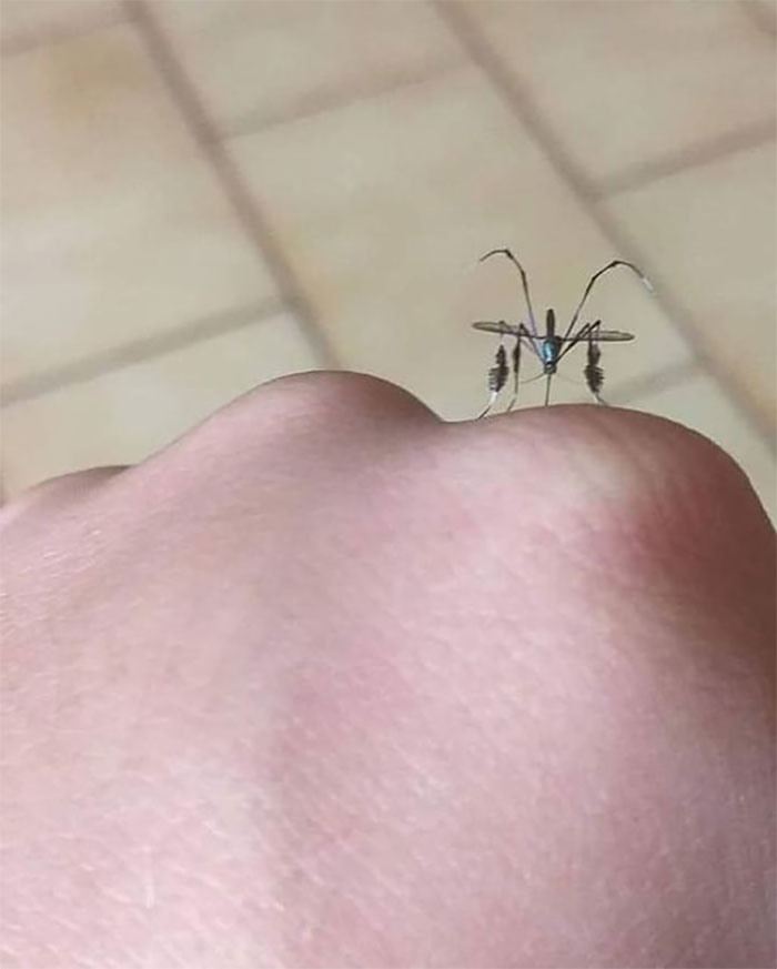 Memes-With-No-Context