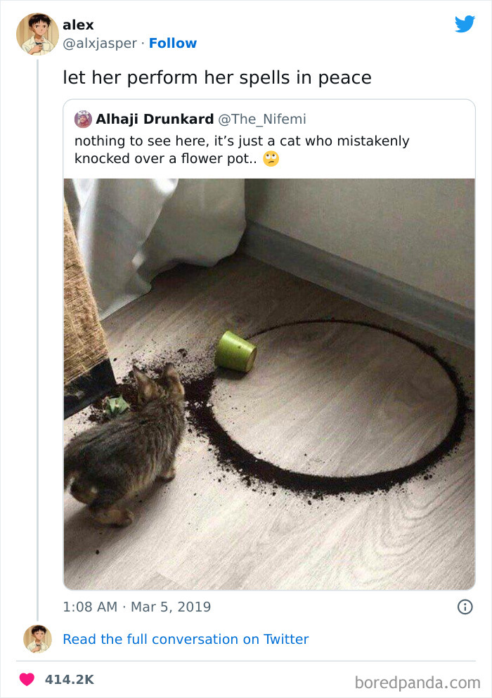 Funny-Cat-Tweets-Jokes