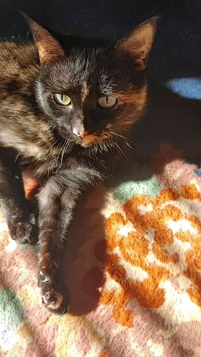 This Is My Girl Cinder