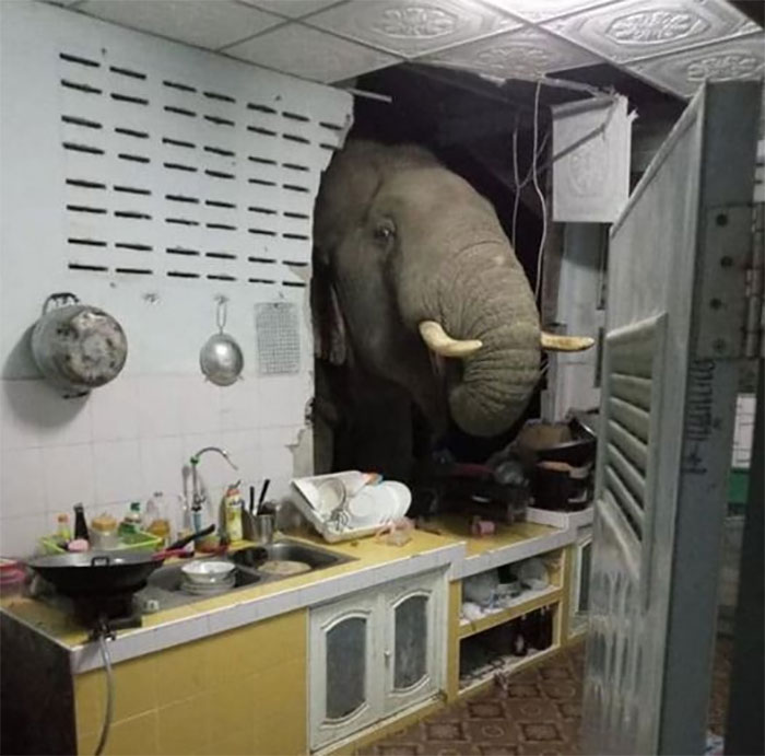 Memes-With-No-Context