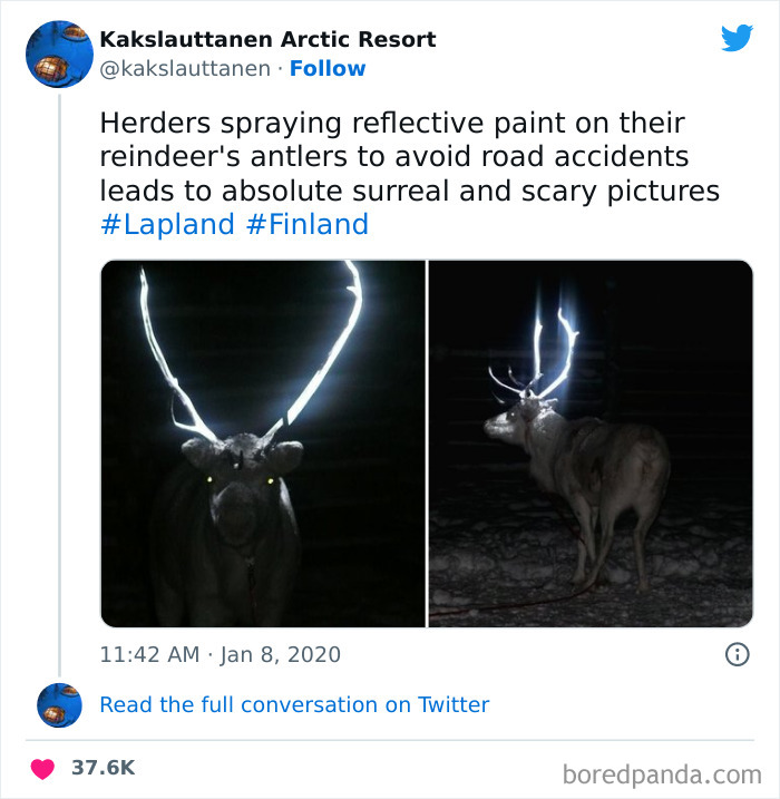 I Don’t Know If I’d Be Delighted Or Scared Sh*tless