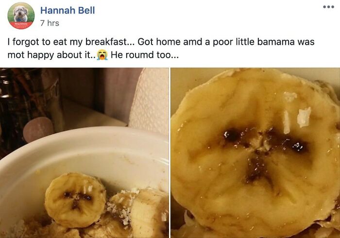 Weird-Food-With-Threatening-Auras-Pics