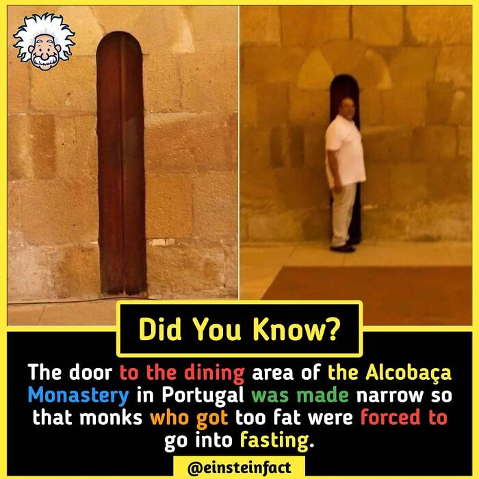 Interesting-Facts-Einsteinfact