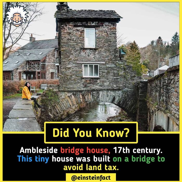 Interesting-Facts-Einsteinfact