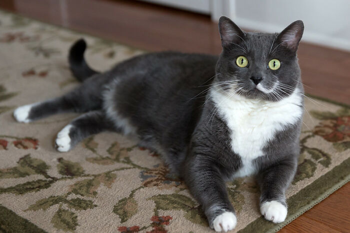 25 Terribles historias de convivencia gracias a compañeros de piso "monstruosos"