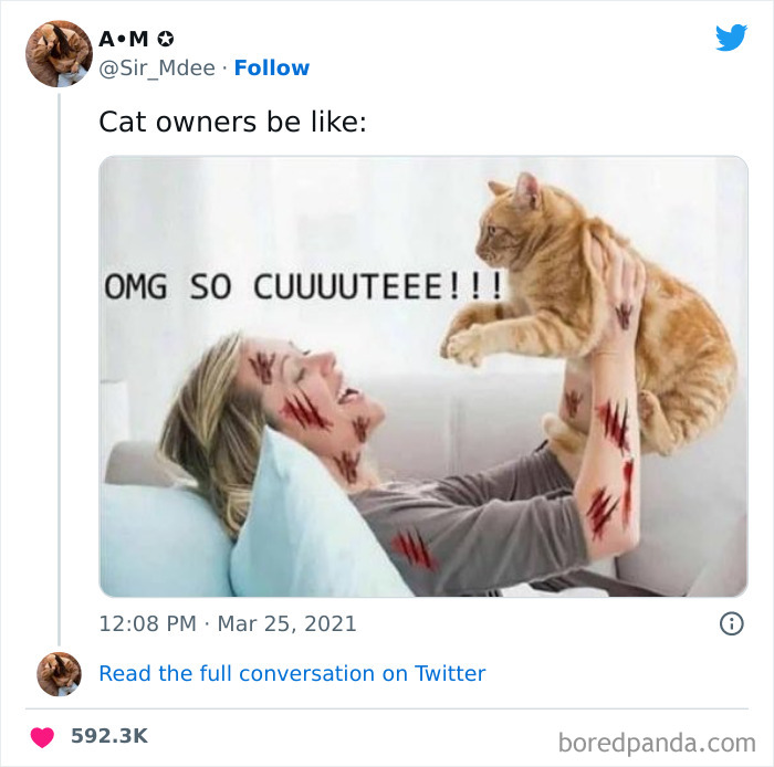 Funny-Cat-Tweets-Jokes