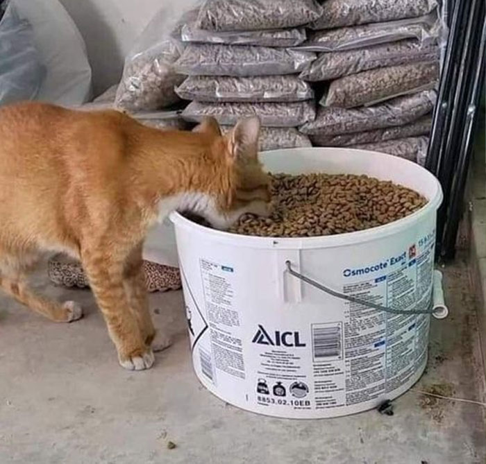 Memes-With-No-Context