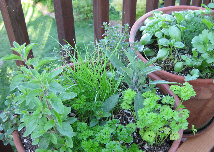 30 People Share Unexpected Food Facts That May Satisfy Your Appetite For Knowledge