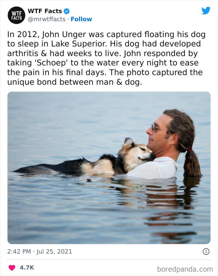 Interesting-Random-Facts