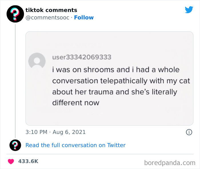 Funny-Tiktok-Comments