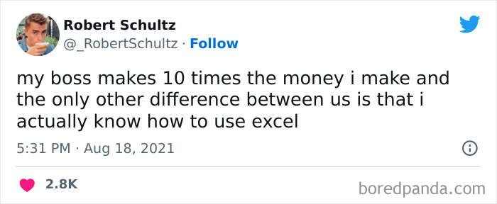 Tweet by Robert Schultz about job frustration, highlighting disparity and Excel skills humor.