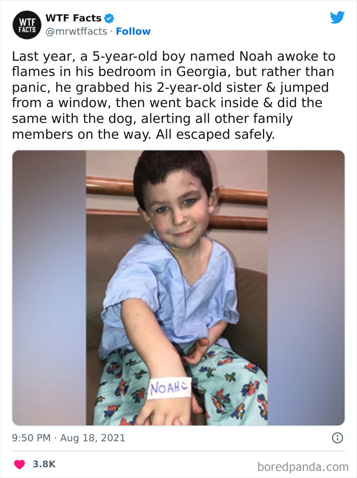 Interesting-Random-Facts