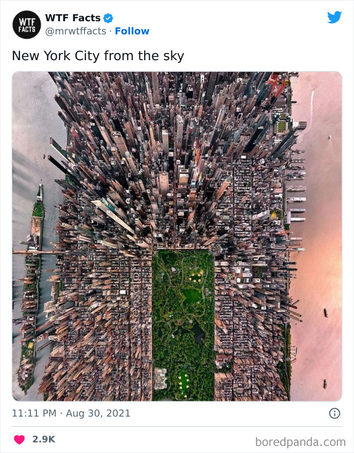 Interesting-Random-Facts