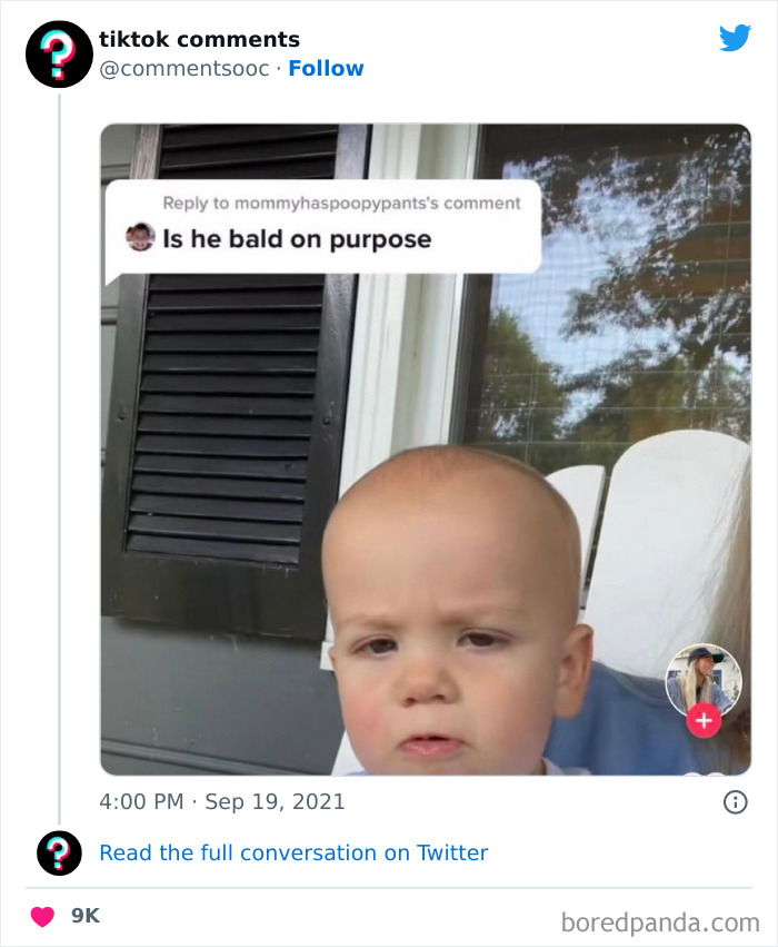 Funny-Tiktok-Comments