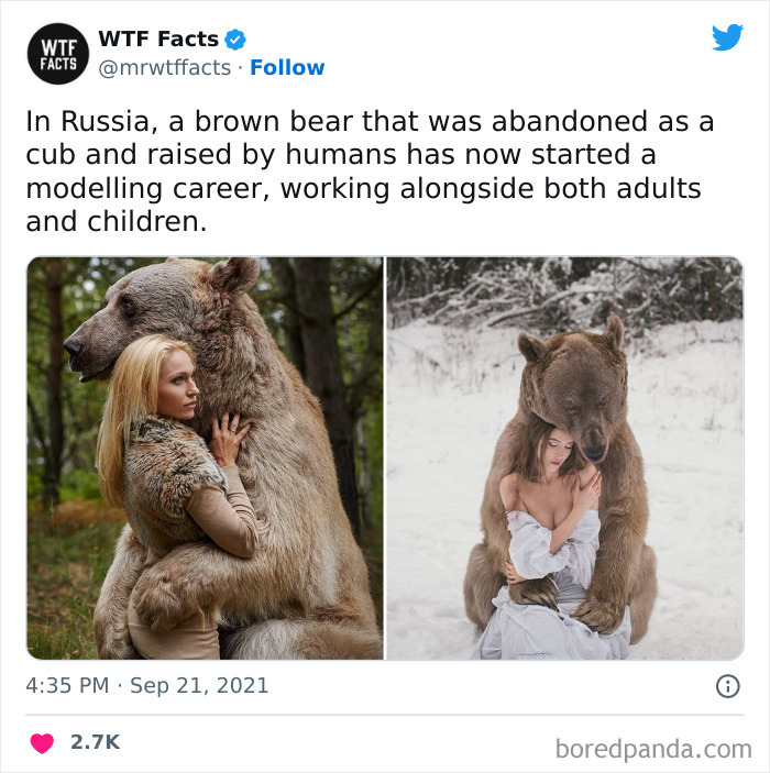 Interesting-Random-Facts