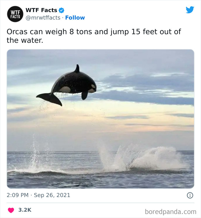 Interesting-Random-Facts