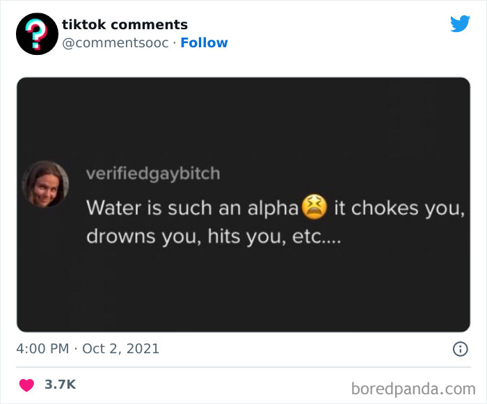 Funny-Tiktok-Comments