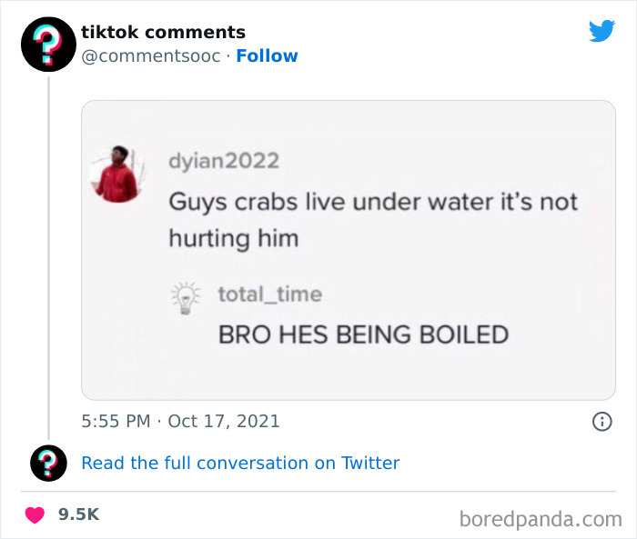 Funny-Tiktok-Comments