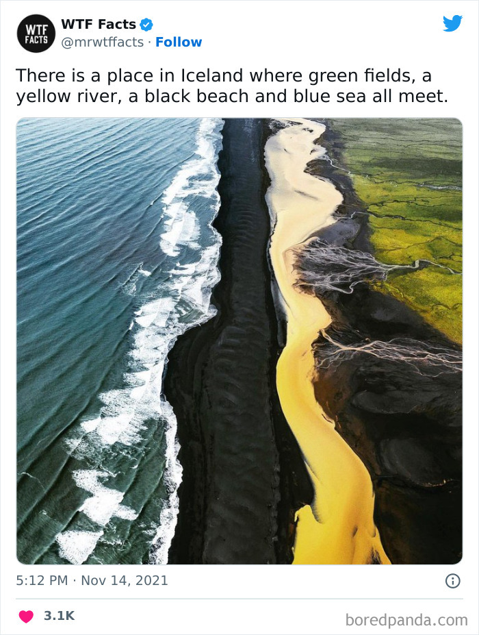 Interesting-Random-Facts